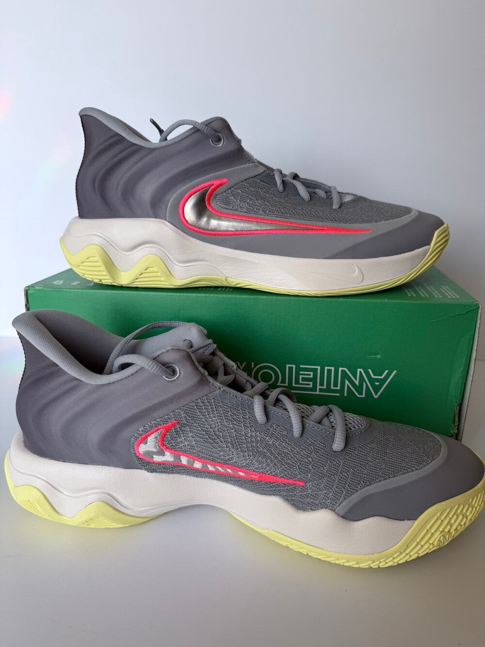 Nike Giannis Immortality 4 Wolf Grey FQ3680-009 Mens Size 12 Womens 13.5 NIB